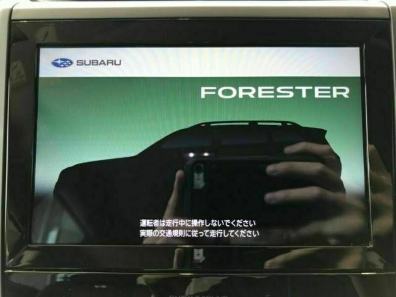 FORESTER-2