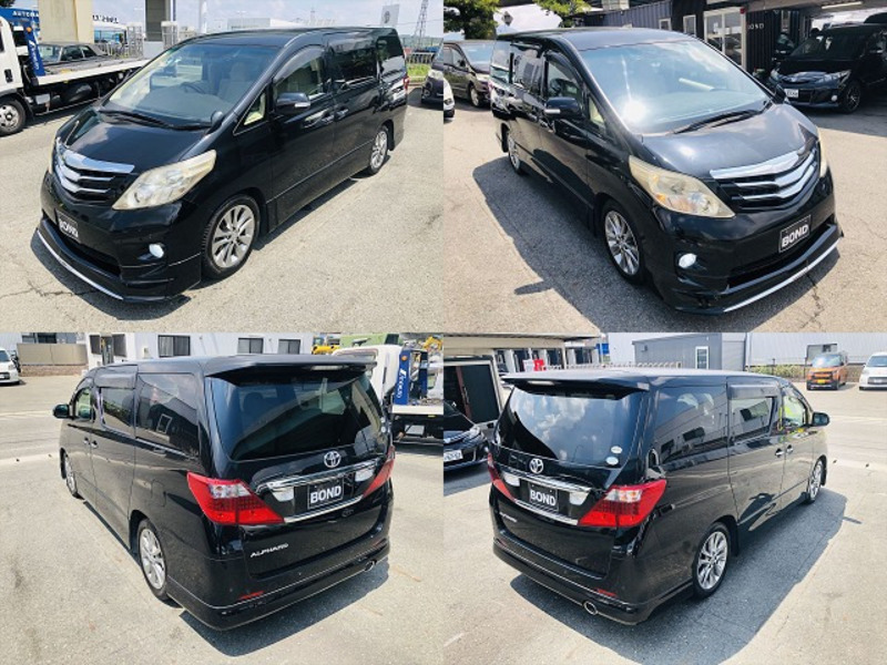 ALPHARD-6