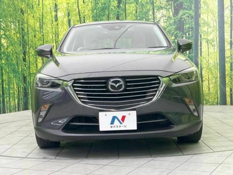 CX-3-14