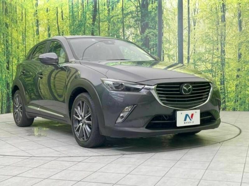 CX-3-16