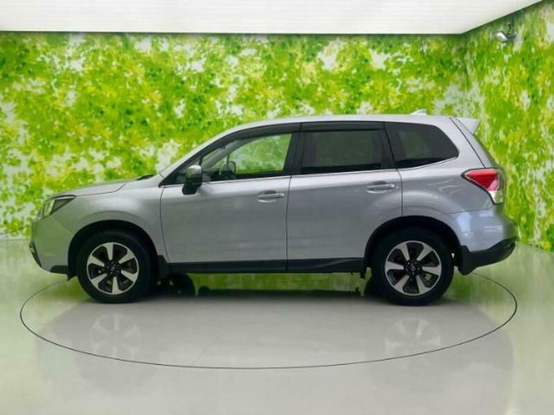 FORESTER-1