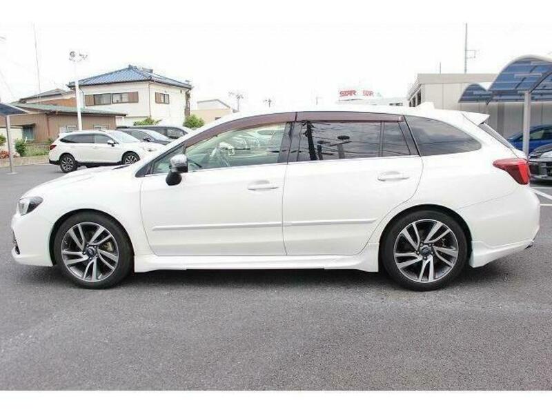 LEVORG-10