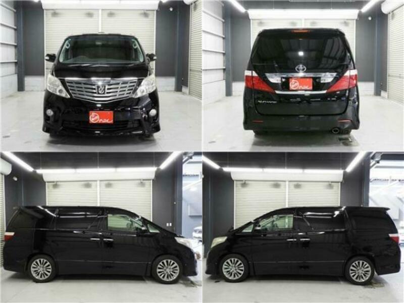 ALPHARD-12