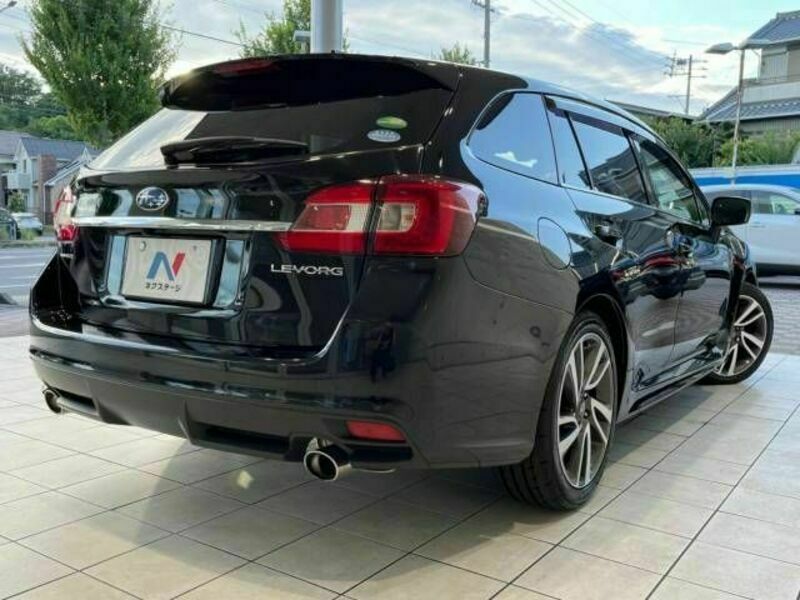 LEVORG-19