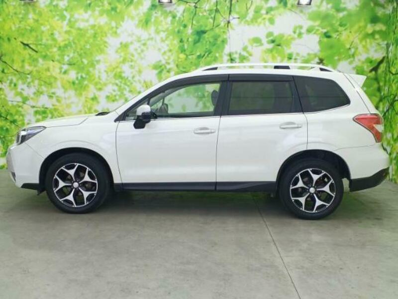 FORESTER-1