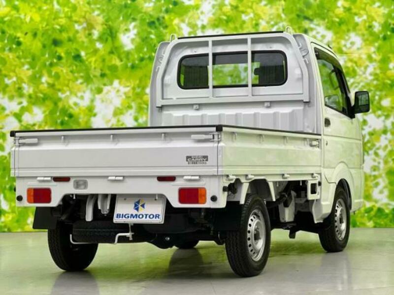 CARRY TRUCK-2