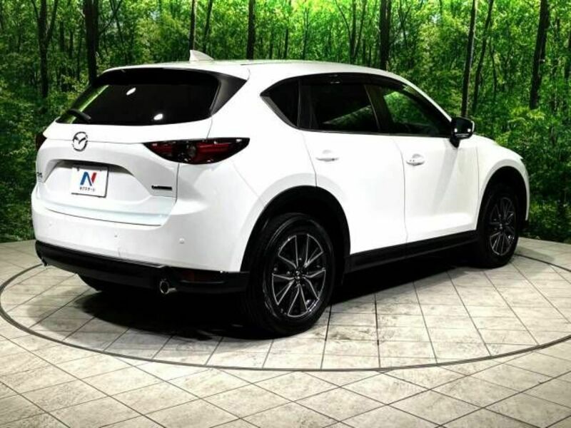 CX-5-17