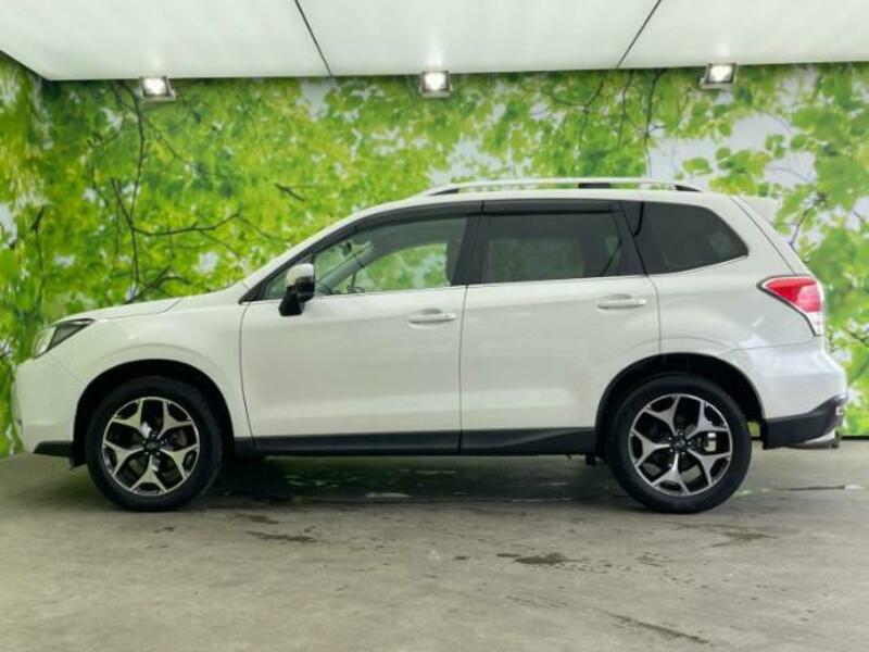 FORESTER-1