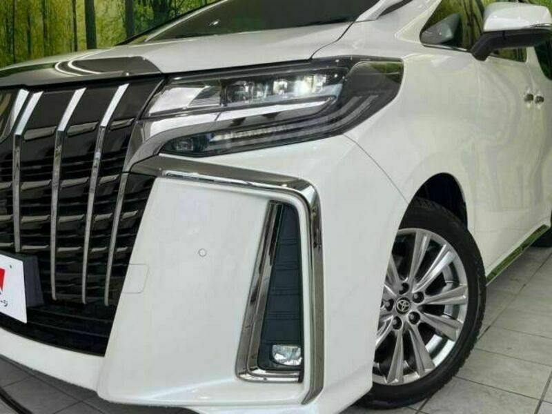 ALPHARD-13