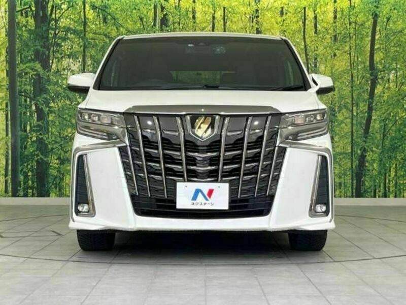 ALPHARD-15