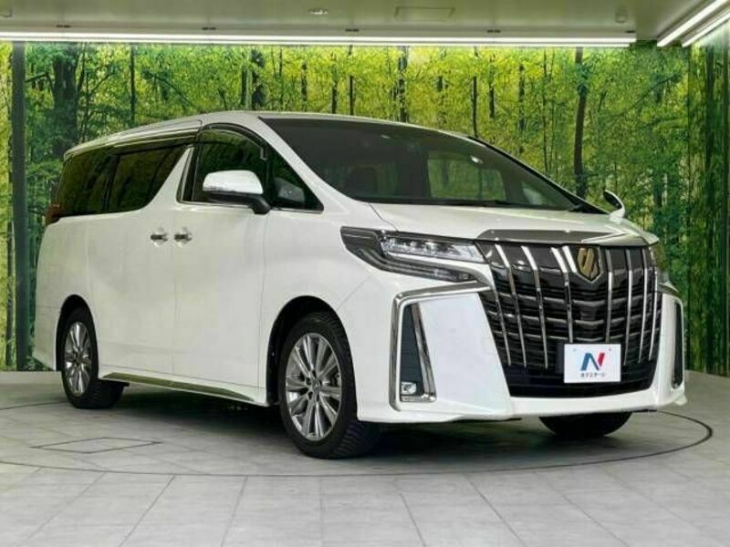 ALPHARD-17