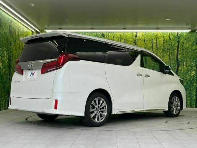 ALPHARD-18