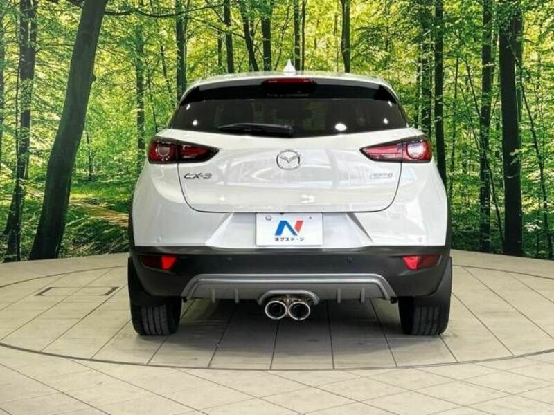 CX-3-15