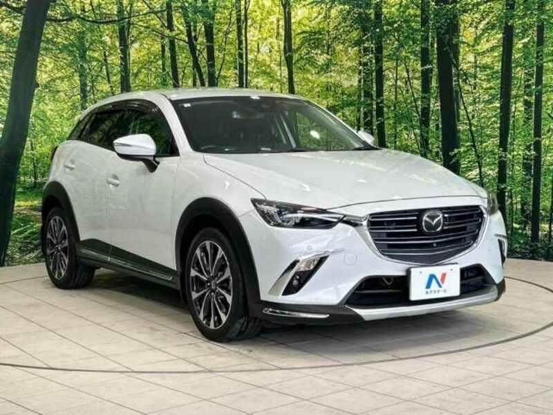 CX-3-16