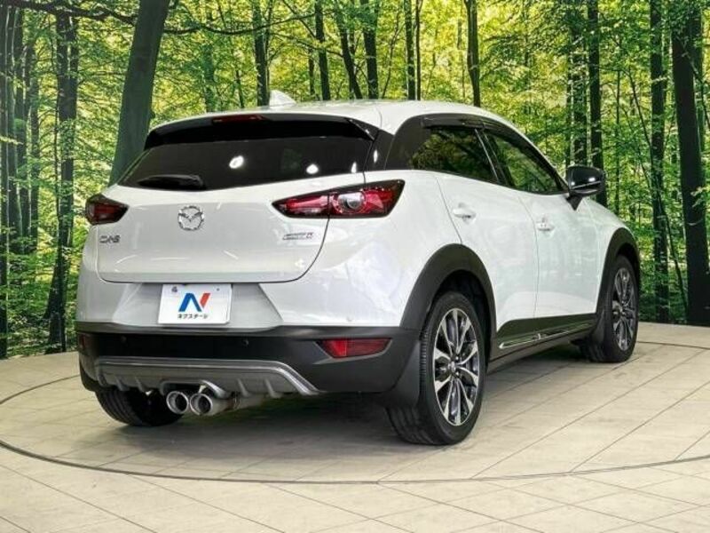 CX-3-17