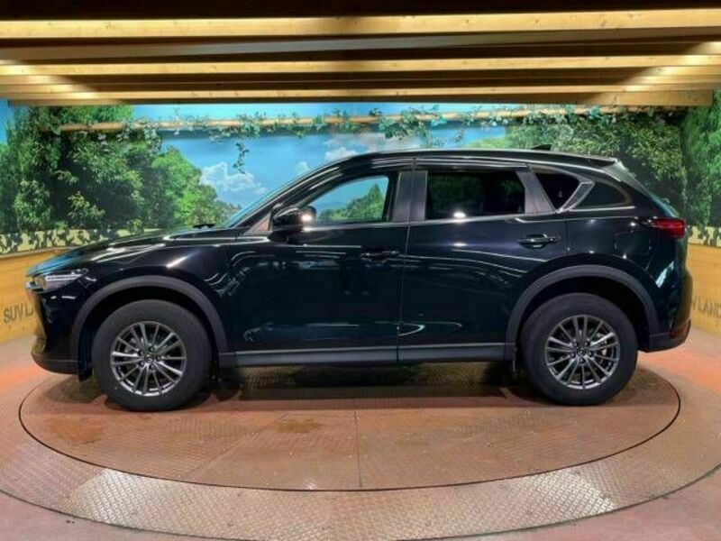 CX-5-17