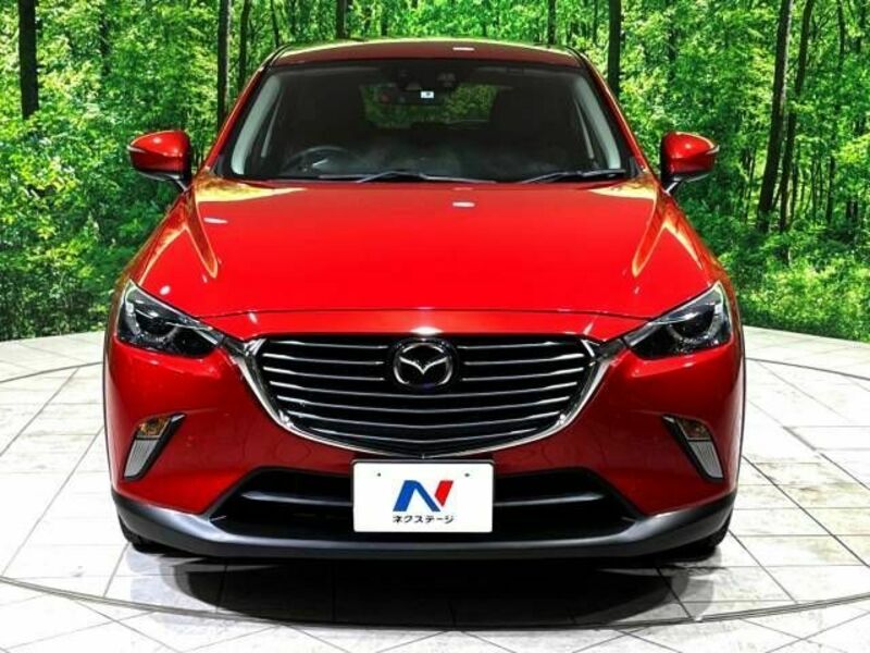 CX-3-14