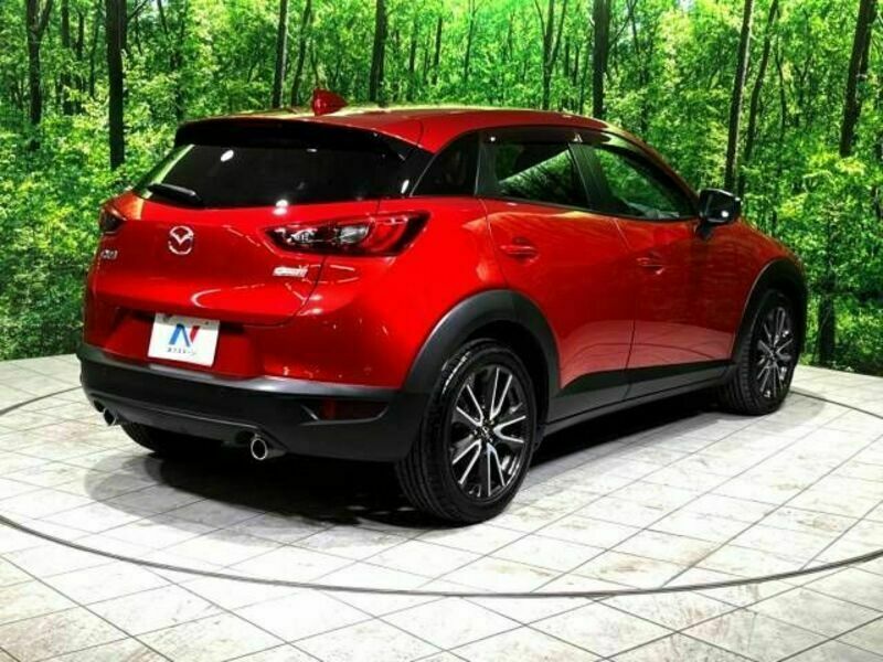 CX-3-17