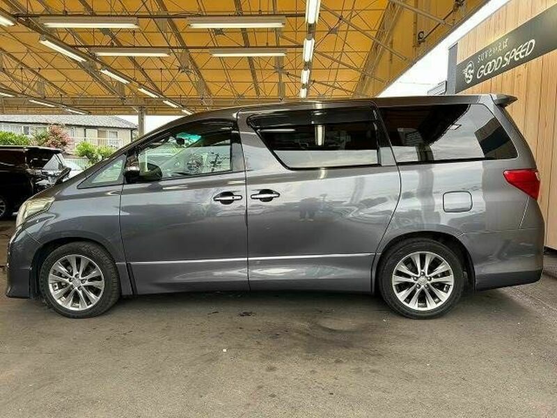 ALPHARD-13