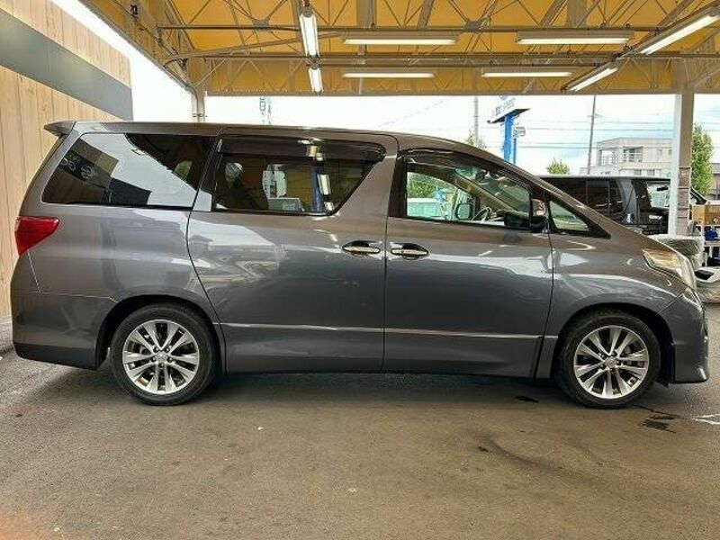 ALPHARD-14