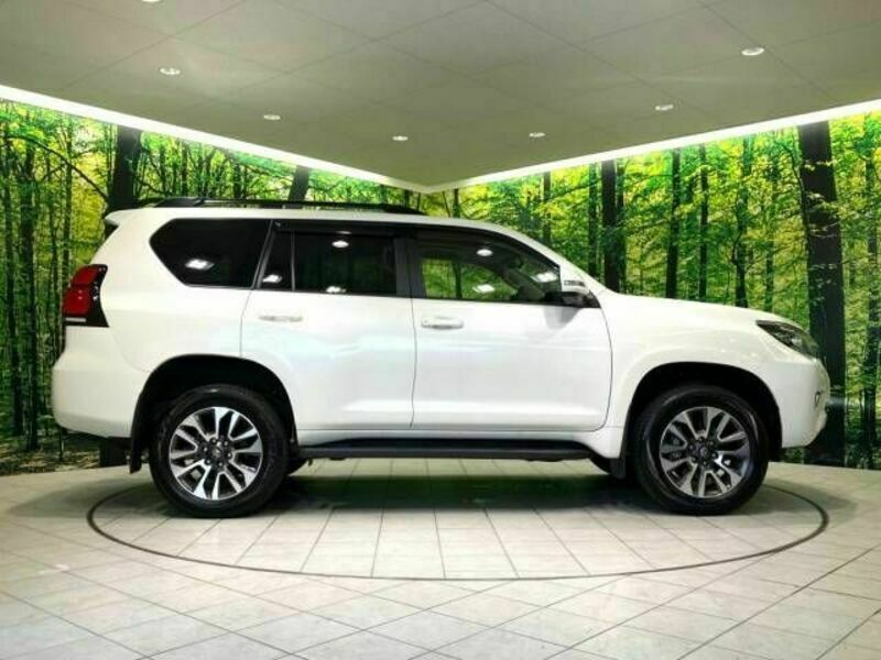 LAND CRUISER PRADO-18