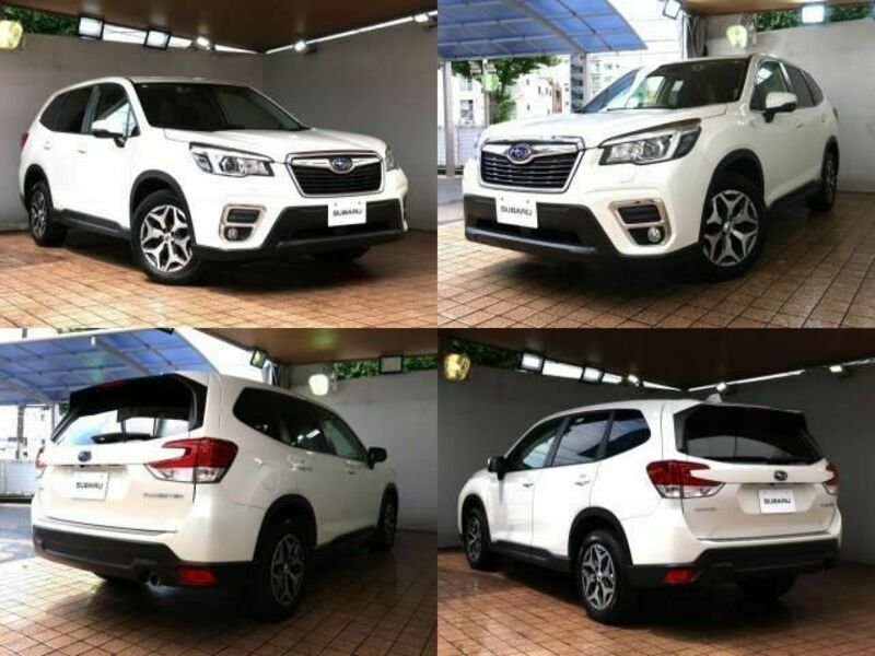 FORESTER-3