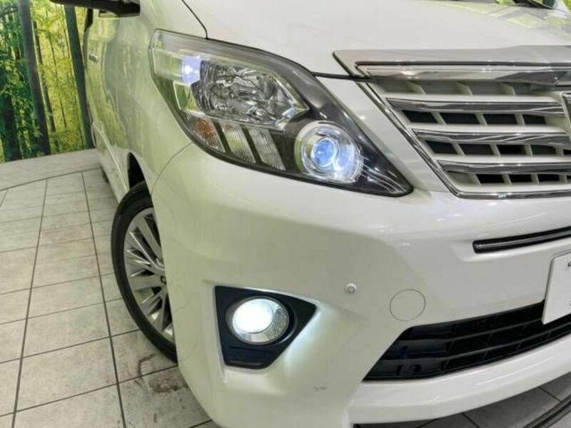 ALPHARD-13