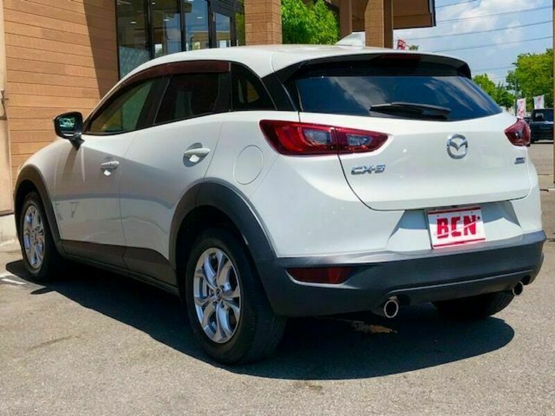 CX-3-8