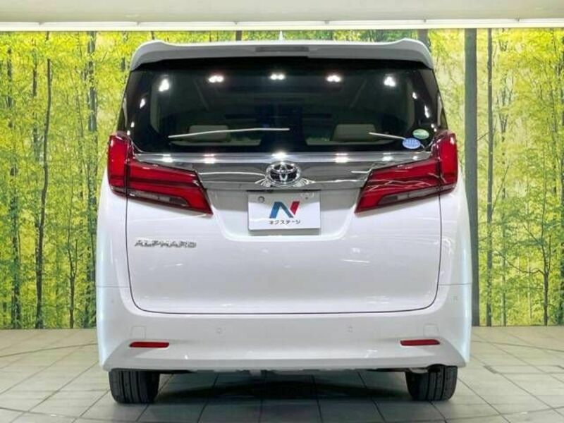 ALPHARD-16