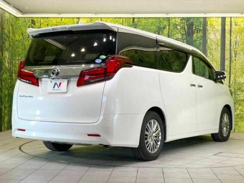 ALPHARD-18