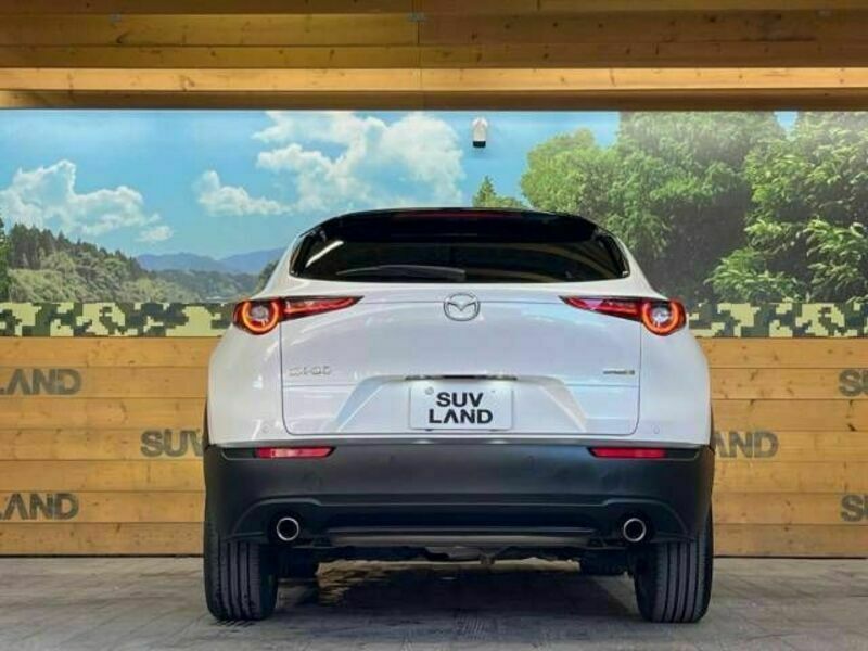 CX-30-15