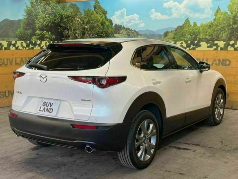 CX-30-17