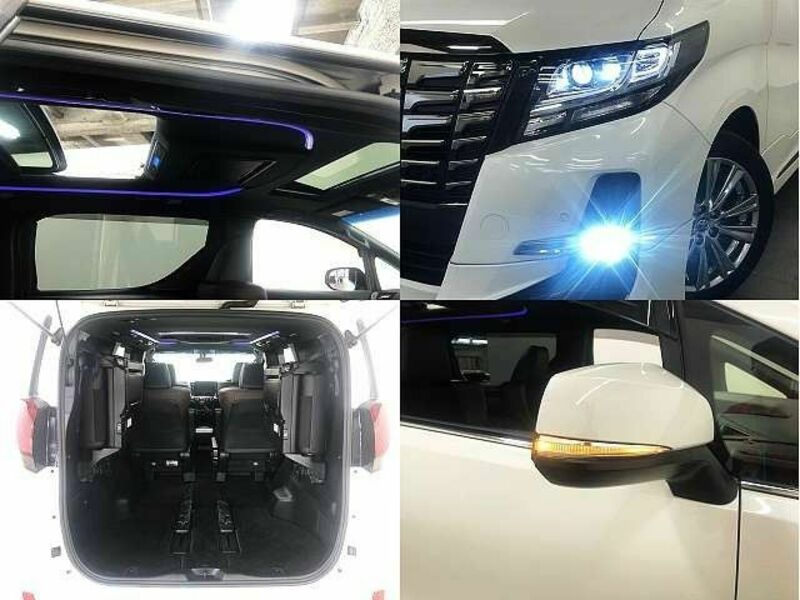 ALPHARD-7