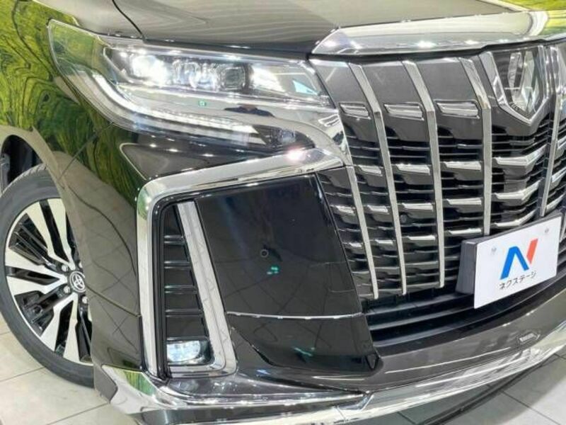 ALPHARD-13