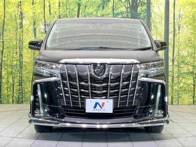 ALPHARD-15