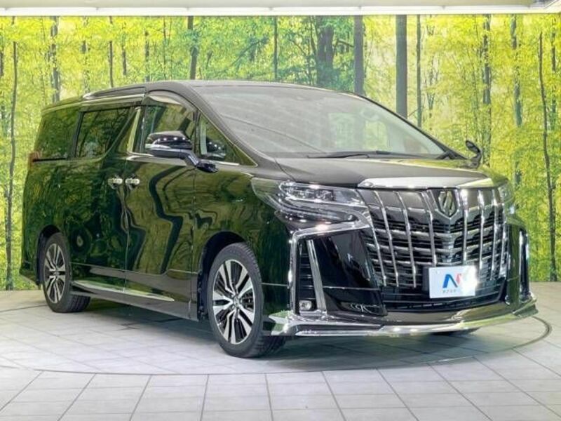 ALPHARD-17