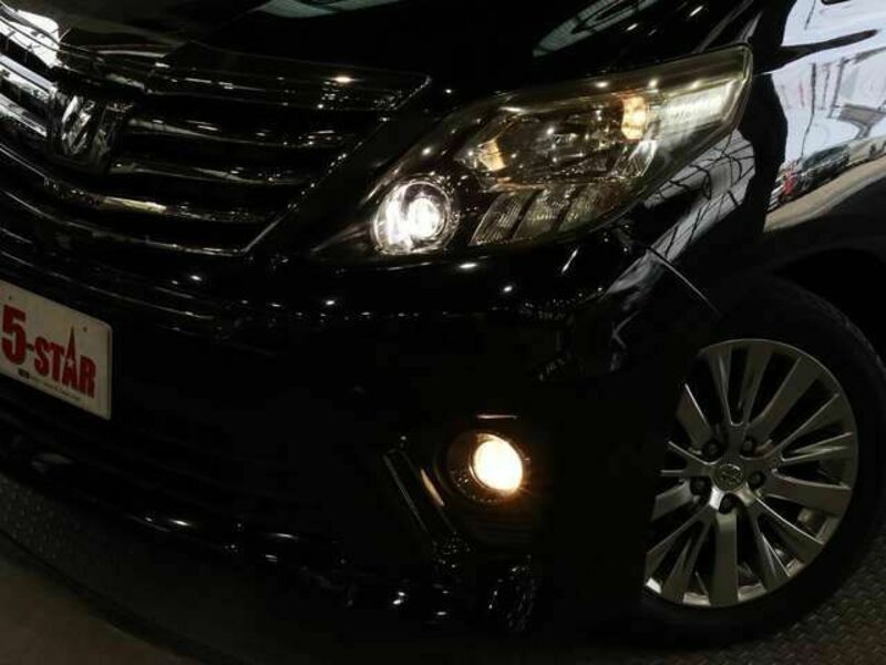 ALPHARD-13