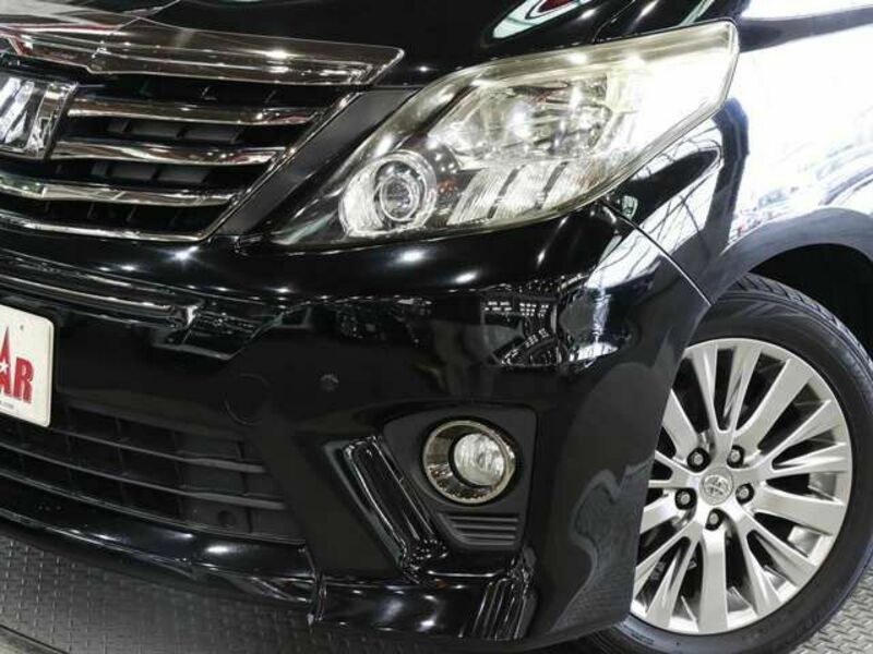 ALPHARD-14