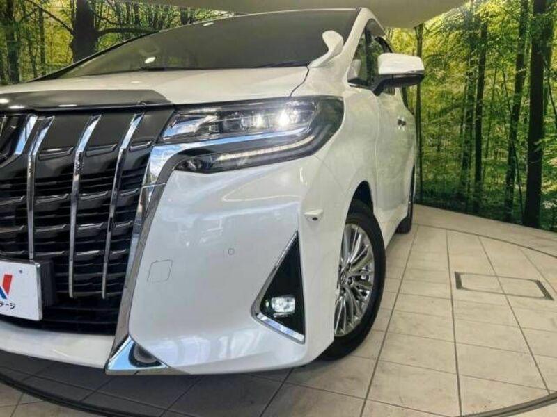 ALPHARD-13