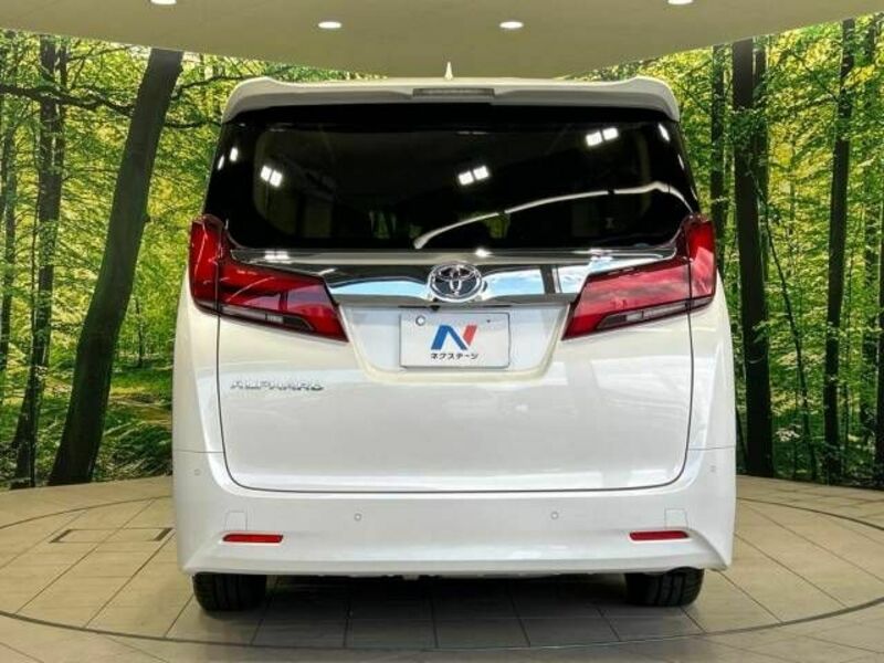 ALPHARD-16