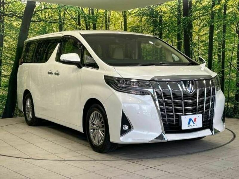 ALPHARD-17