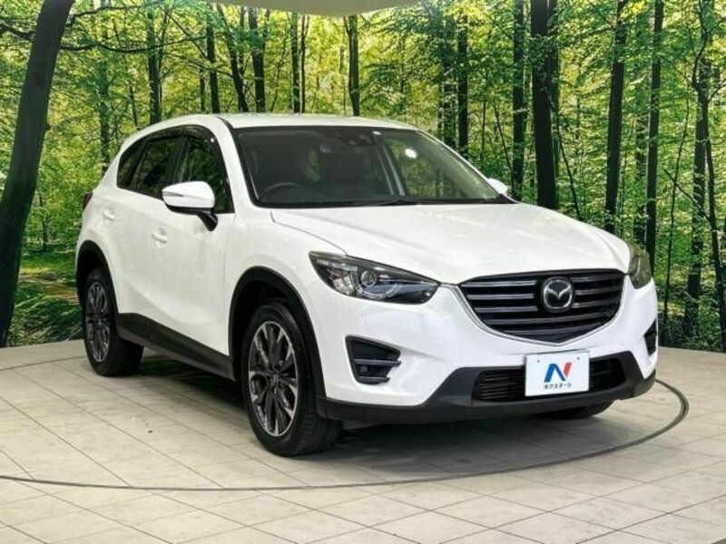 CX-5-17