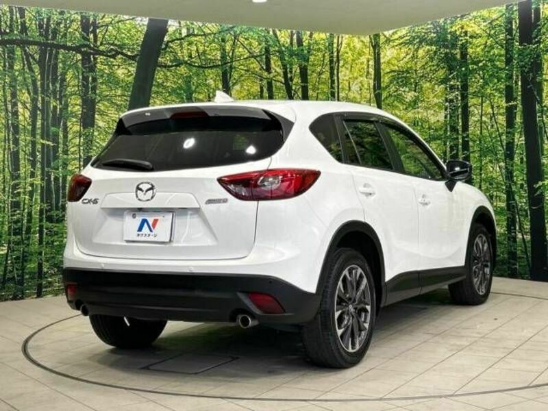 CX-5-18