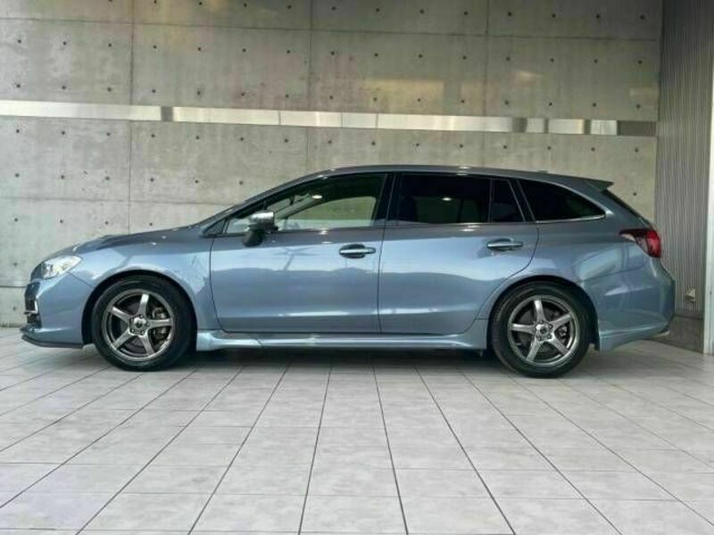 LEVORG-19