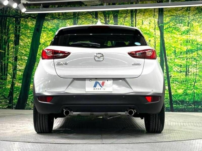 CX-3-15