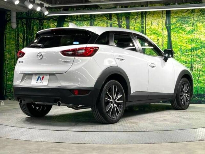 CX-3-17