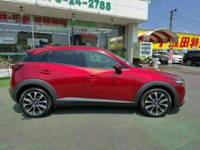 CX-3-10