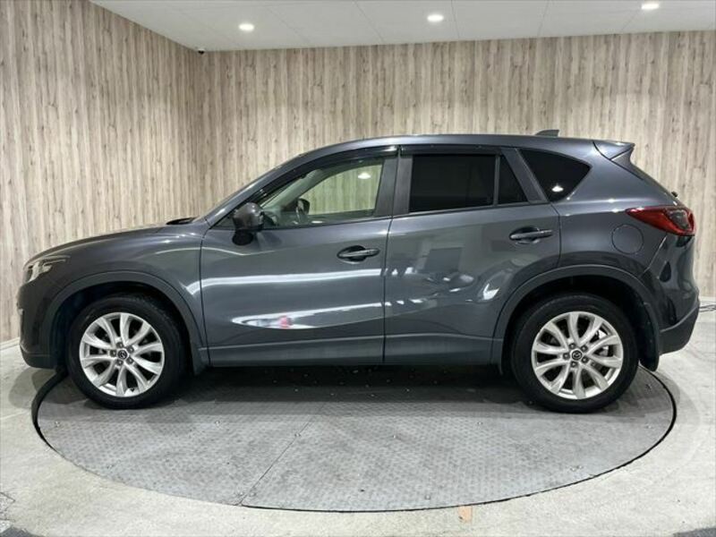 CX-5-19