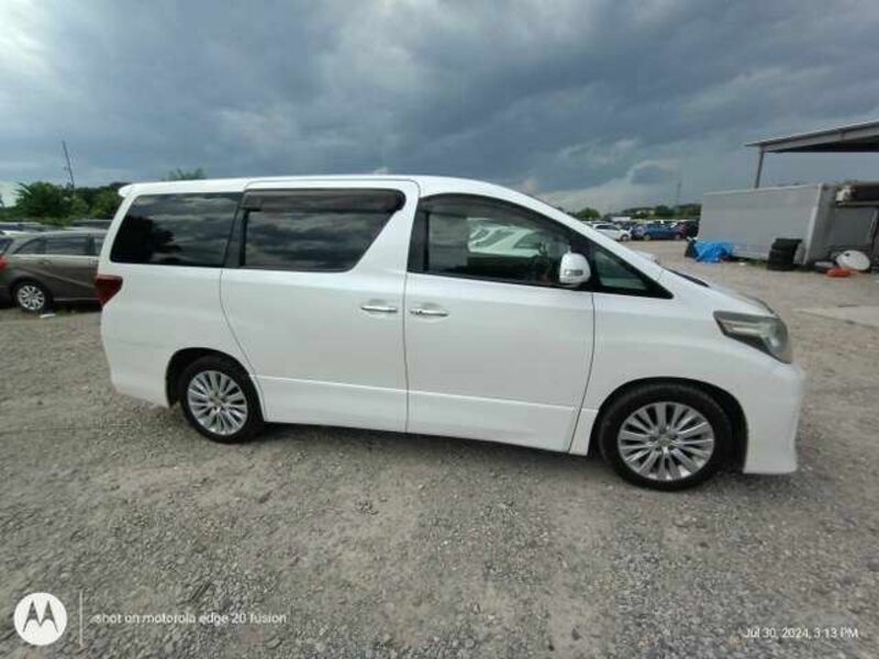 ALPHARD-7