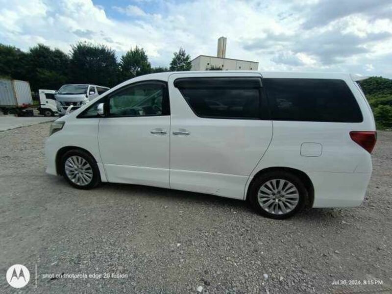 ALPHARD-8